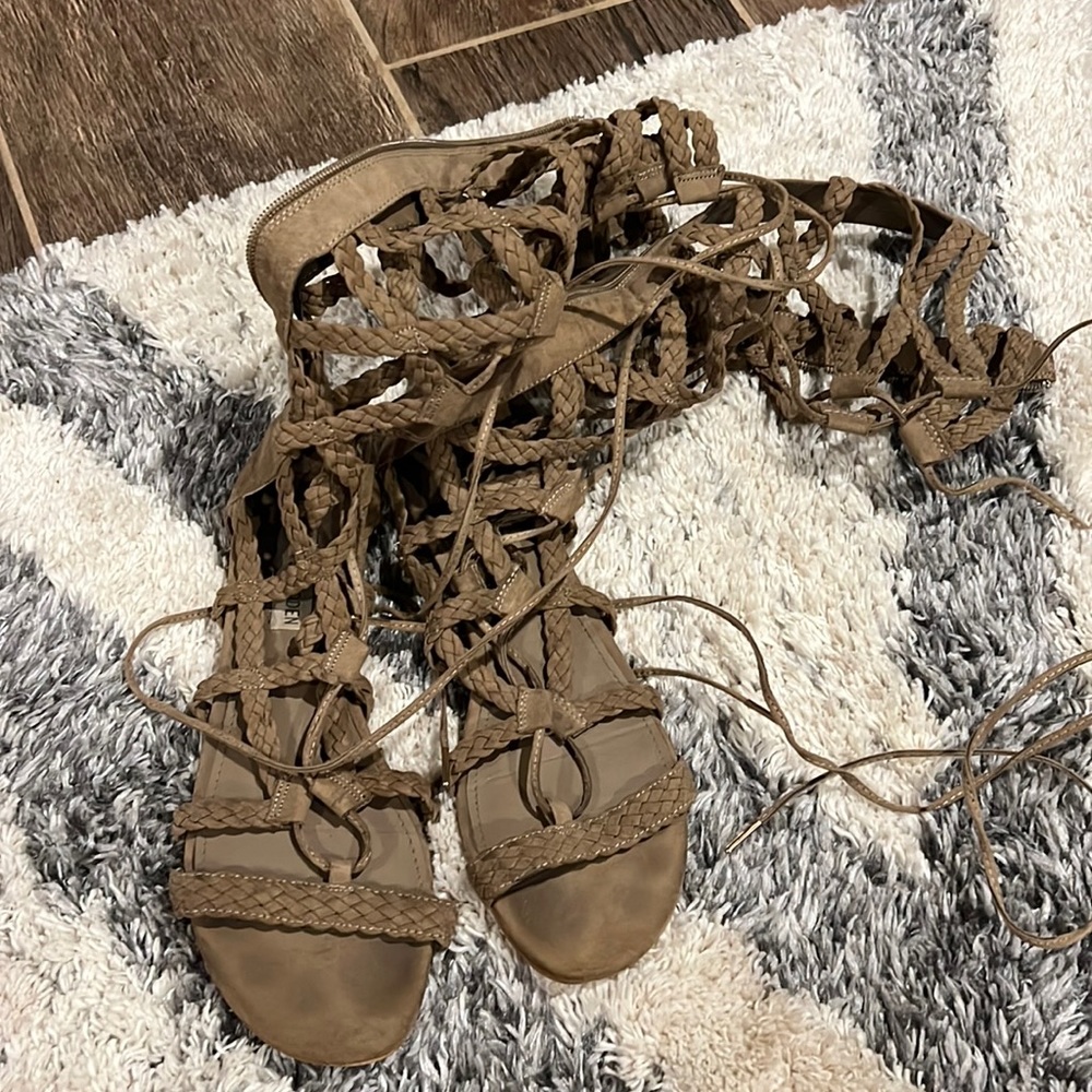 Steve Madden gladiator sandals.